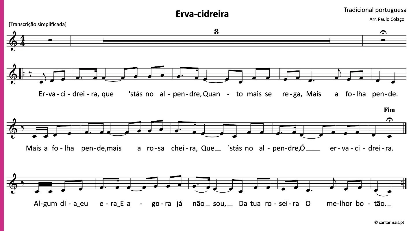 Pauta